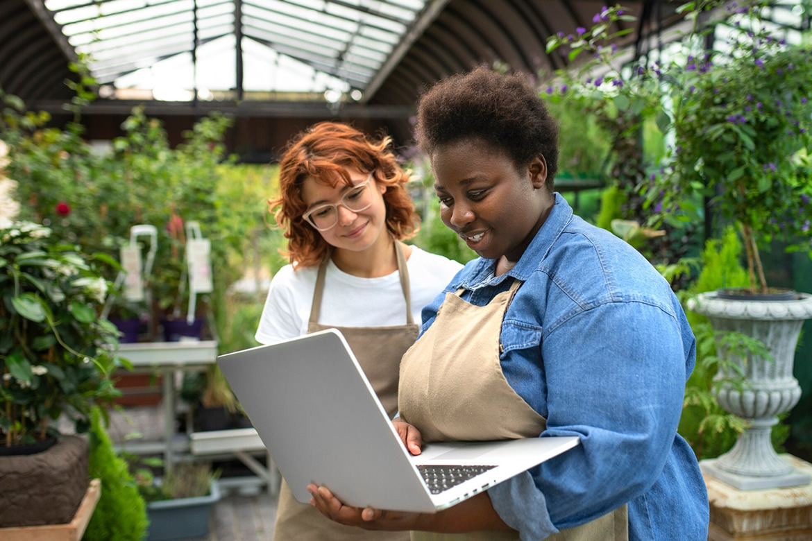 Mentorship Programs